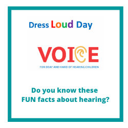Fun Facts about Hearing